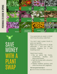 plant swap guide