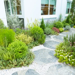path with garden stones and gravel in front of a summery home with a beautiful manicured garden