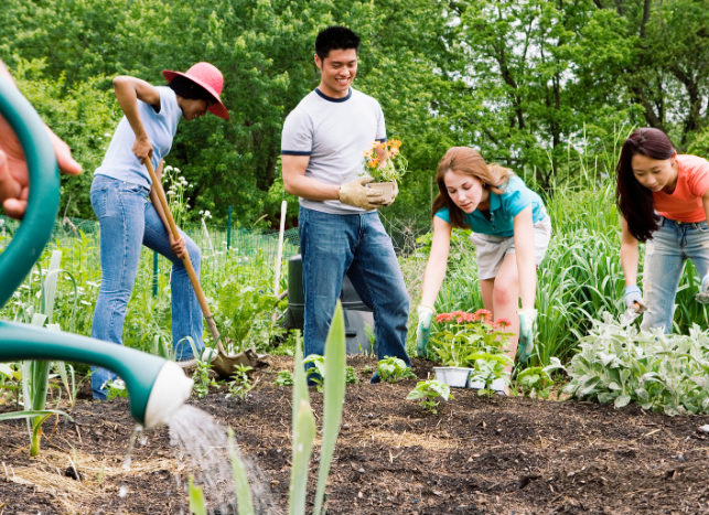 community working together