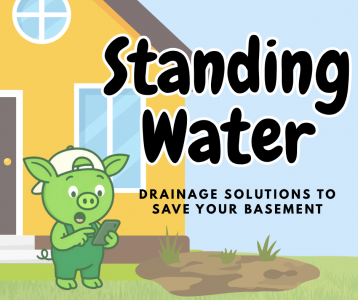 Cartoon pig character Oinkers looking surprised while holding a phone next to a large puddle in a yard, with text reading "Standing Water: Drainage Solutions to Save Your Basement." What to do when you have standing water in your yard. 