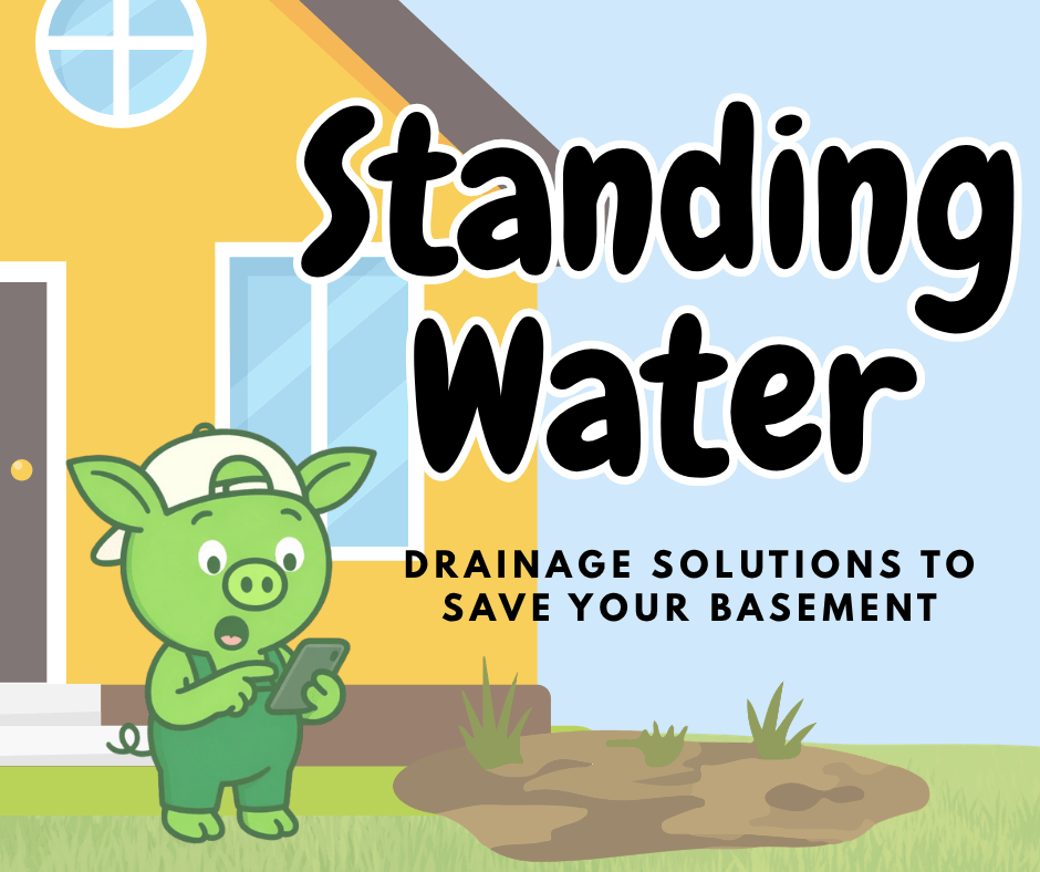 Cartoon pig character Oinkers looking surprised while holding a phone next to a large puddle in a yard, with text reading "Standing Water: Drainage Solutions to Save Your Basement." What to do when you have standing water in your yard.
