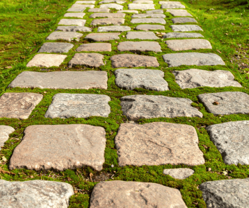 Cobblestone pathway with green moss growing between stones, showing low‑maintenance landscaping and natural outdoor design.