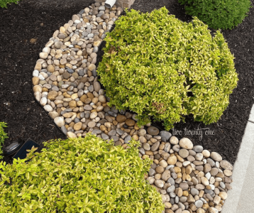 Curved river‑rock path bordered by mulch and shrubs to illustrate low‑maintenance landscape design options